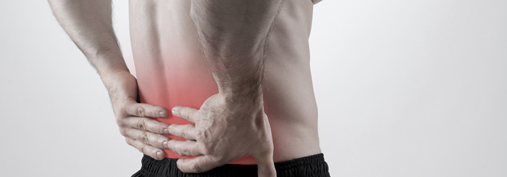 Chiropractie Zoeterwoude-Dorp EN Onderrugpijn Chiropractie Zoeterwoude-Dorp EN Onderrugpijn